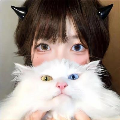 一日晚宴